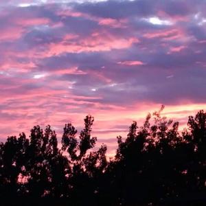 男人女人做爱说骚话三级片真人版
